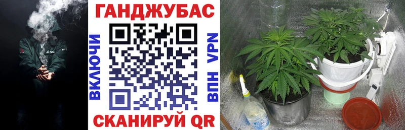 Шишки марихуана гибрид  дарнет шоп  Кодинск 